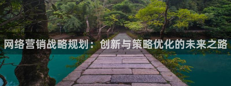 必赢网站：网络营销战略规划：创