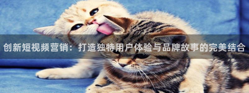 必赢72886是黑网站么