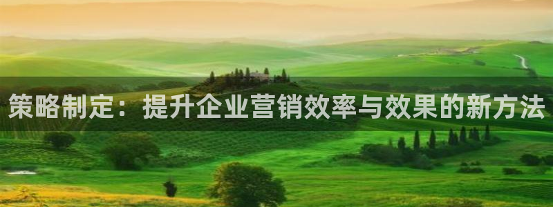 必赢链接：策略制定：提升企业营
