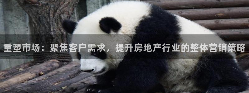 必赢国际437网页版：重塑市场