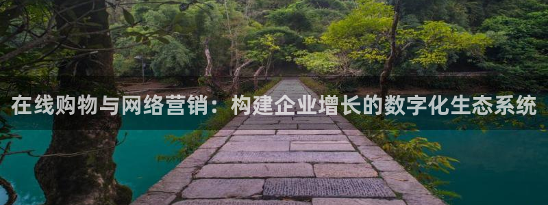 必赢平台官方：在线购物与网络营