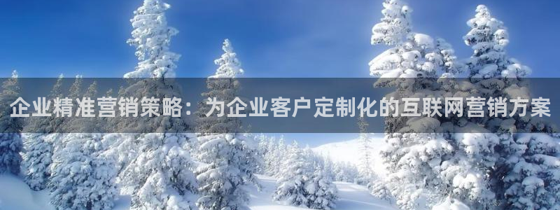 必赢网址官网：企业精准营销策略