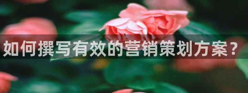 必赢官网app下载安装手机版