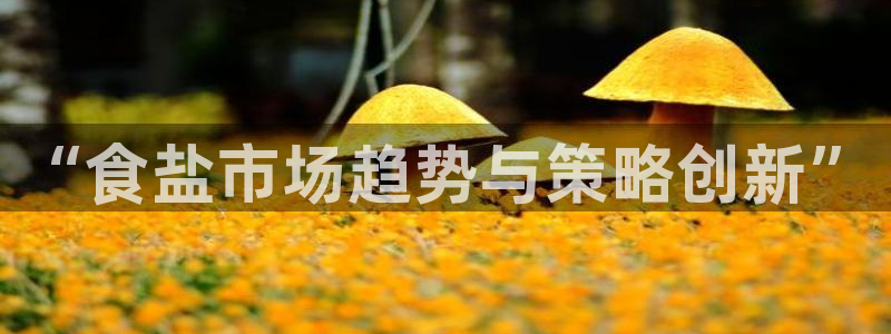 必赢官网入口下载