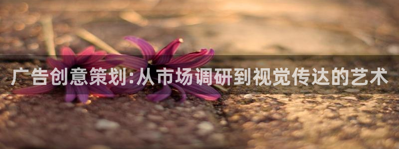必赢宝是不是合法平台