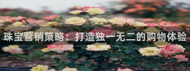 必赢这个平台怎么样知乎