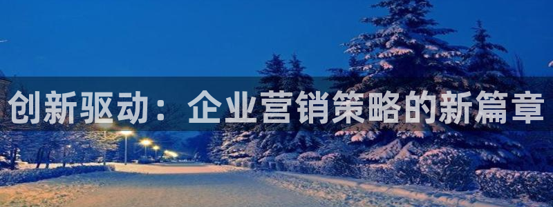 必赢公司是怎样的一家企业