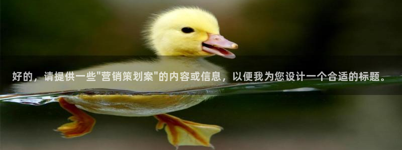 必赢网址谁知道的