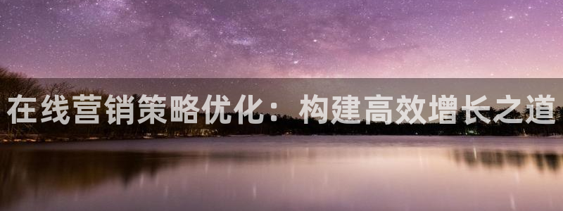 必赢公司是怎样的一家企业