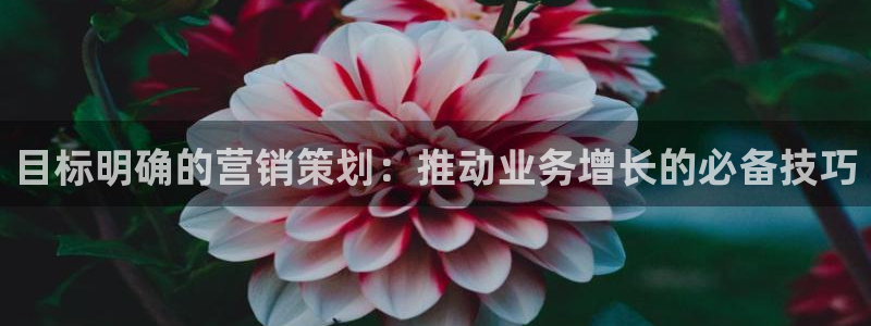 必赢这个平台怎么样啊