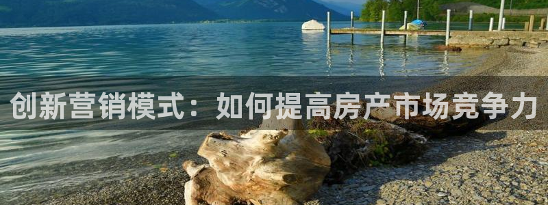 必赢链接：创新营销模式：如何提