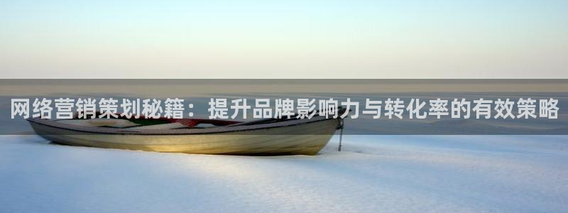 必赢资讯下载：网络营销策划秘籍