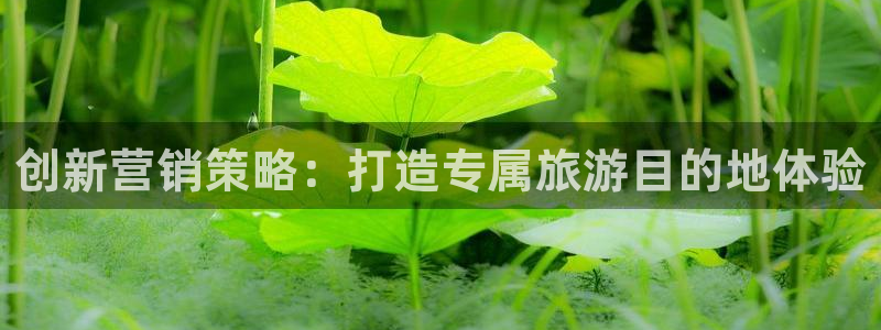 必赢平台电子：创新营销策略：打