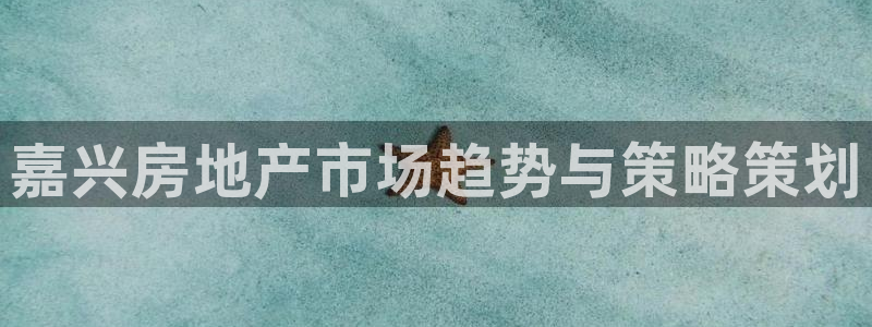 必赢app客户端下载官网