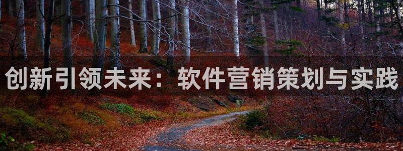 必赢官网网站入口网址