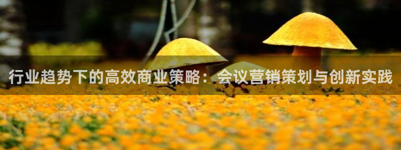 必赢国际的网站多少