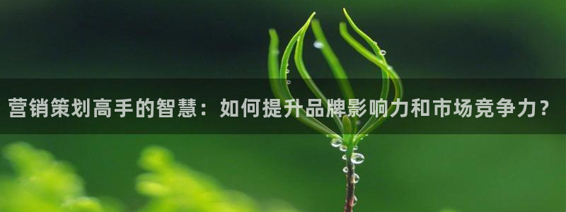 必赢集团怎么样