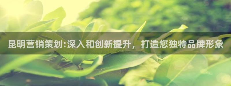 必赢集团网站是什么
