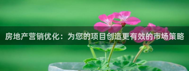 必赢app是干什么的