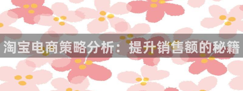 必赢下载二维码：淘宝电商策略分